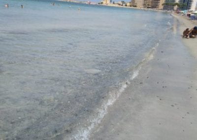 ¿Playa de Ensenada del Esparto con BANDERA AZUL?