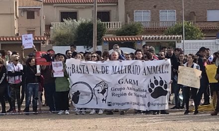 Novillada en San Javier y manifestación antitaurina.