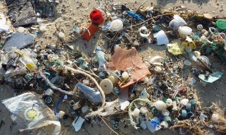 Limpieza en la costa de La Manga de plásticos, redes viejas y basuras