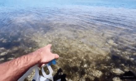 Video denuncia sobre el estado del Mar Menor 2019