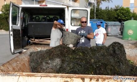 Ayuntamiento de Cartagena intensifica la limpieza de las playas en el Mar Menor 2019