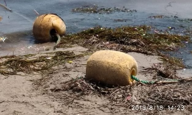 Degradación y reducción de la zona de baño en Playa de Castillicos en Santiago de La Ribera