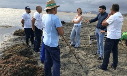 Las brigadas de limpieza del Mar Menor retiran 450 metros cúbicos de algas y residuos orgánicos de aguas de la laguna salada