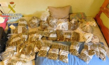 En Los Alcázares desarticulan una red dedicada al cultivo y tráfico de marihuana