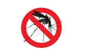 El ayuntamiento de los Alcázares, Murcia vuelve a luchar contra el mosquito tigre