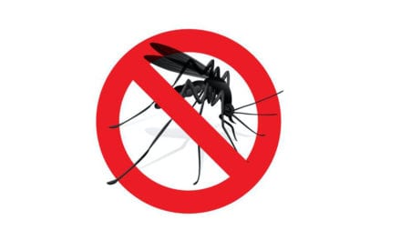 El ayuntamiento de los Alcázares vuelve a luchar contra el mosquito tigre