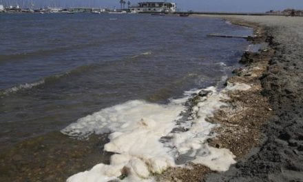 La salinidad del Mar Menor está en niveles «críticos»
