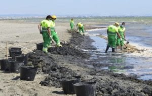 Refuerzan la limpieza de playas del Mar Menor ante el enfado vecinal