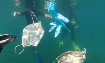 Pronto habrá más mascarillas que medusas en las aguas del Mediterráneo