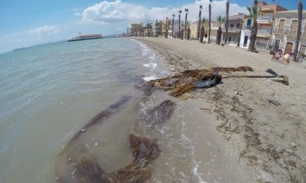 Brigadas de inspección de fondos submarinos limpiarán las playas Carrión y Manzanares en Los Alcázares