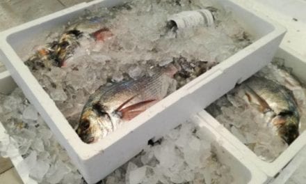 El pescado y marisco de la Región de Murcia, más barato que nunca