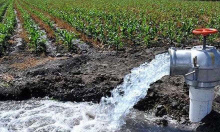 Un nuevo proyecto reconvertirá las aguas de pozo para aprovecharlas en regadío en el Campo de Cartagena