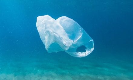 Mar Menor recibe 53 micro plásticos por kilo de arena