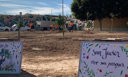 Se plantan 60 nuevos árboles en San Javier