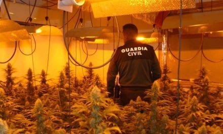 La crisis de la COVID-19 alimenta el cultivo de marihuana en la Región de Murcia