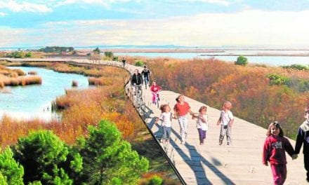 Futuros proyectos Mar Menor: una red de sendas junto a la laguna salada y un parque en las salinas