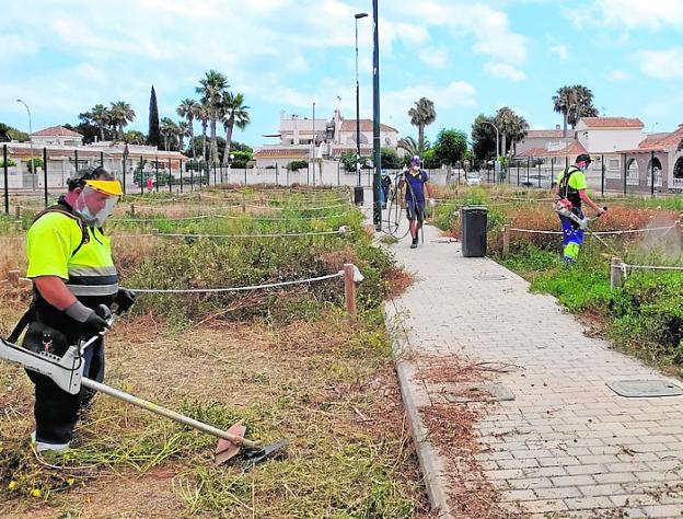 Las quejas vecinales obligan al ayuntamiento de Los Alcázares a limpiar y adecentar los huertos urbanos