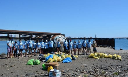 Un centenar de voluntarios retiran 500 kilos de basura de la caleta del Estacio en La Manga del Mar Menor
