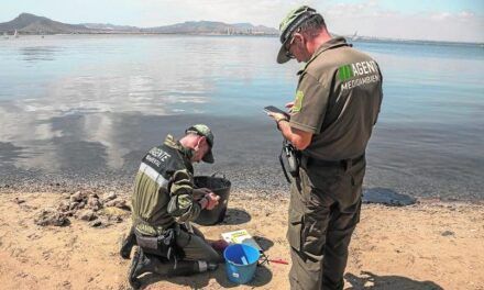 Técnicos de la Comunidad de Murcia vieron clara la anoxia tras la aparición de los peces muertos en el Mar Menor