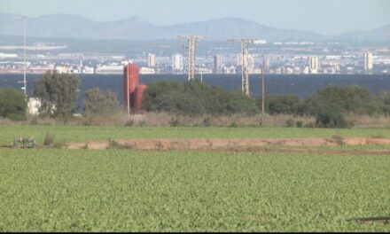 Tribunal Superior de Justicia de la Región de Murcia obliga a arrancar 4,9 hectáreas de cítricos en zona de protección del Mar Menor