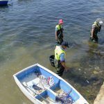 El Mar Menor vuelve a expulsar peces muertos a las puertas del verano 2022