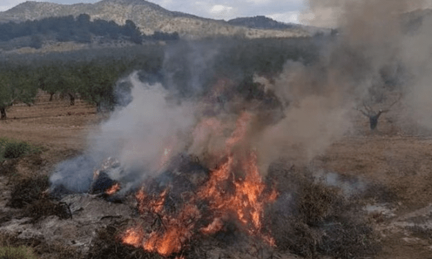 Los agricultores de Murcia se enfrentan a multas millonarias por las quemas agrícolas