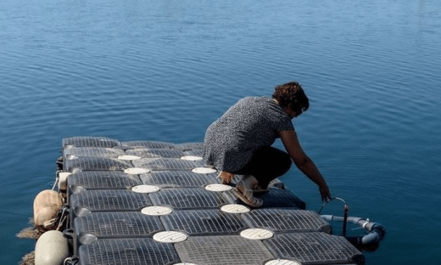 Oxigenación del agua en el Mar Menor, la Comunidad de Murcia realizará un ensayo de dos meses