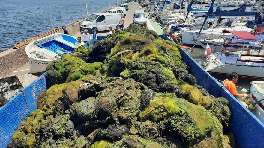 El Gobierno murciano retira seis veces más de biomasa del Mar Menor en 2022 que en años anteriores