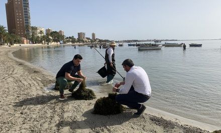 Noticias Mar Menor: retiran más de 10.500 toneladas de biomasa