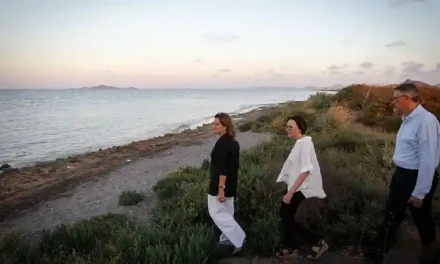 Filtros verdes Mar Menor: eliminarán el 60% de los nitratos vertidos a la laguna salada de Murcia