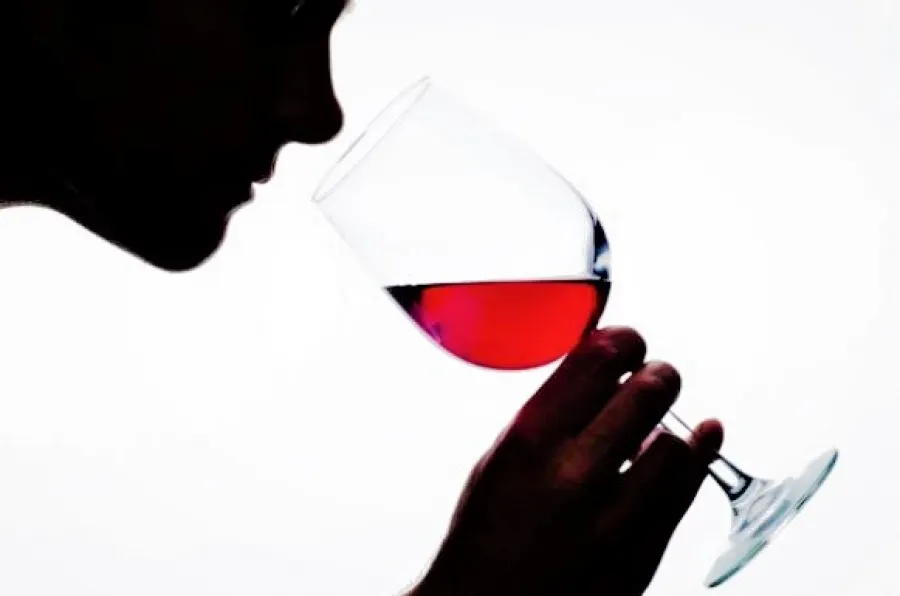 Un curso gratuito para iniciarse en la cata de vinos en San Pedro del Pinatar