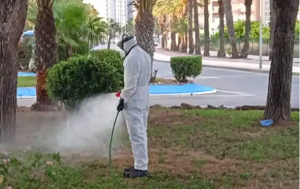 San Javier intensifica la lucha contra los mosquitos 2023