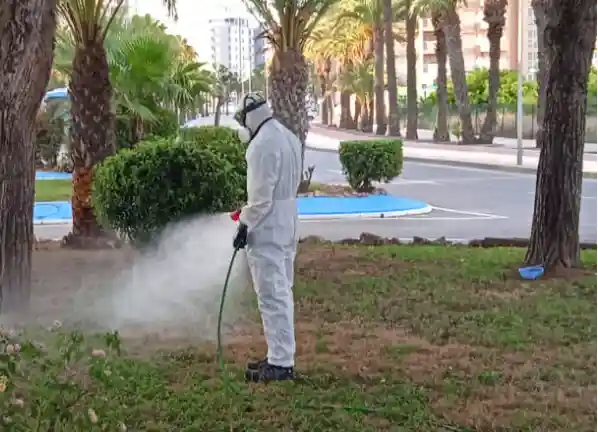 San Javier intensifica la lucha contra los mosquitos 2023